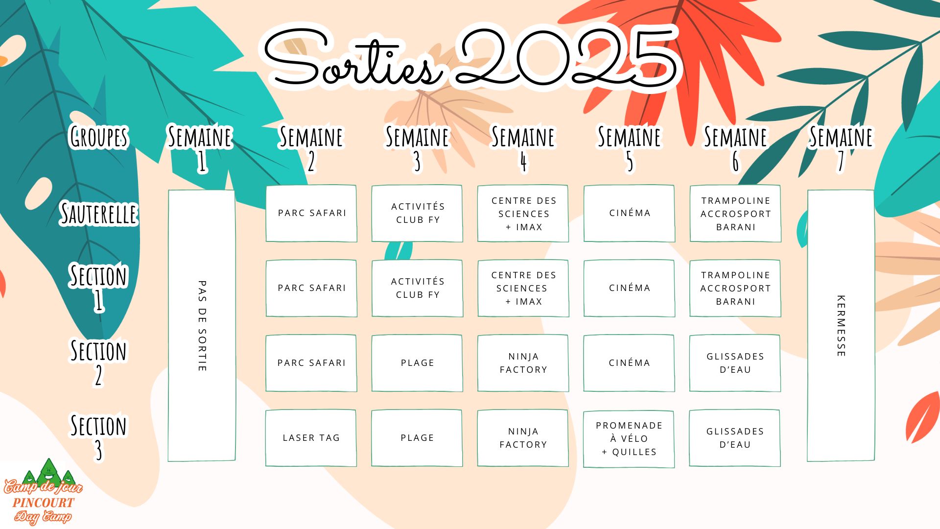 Sorties_camp_de_jour_2025.jpg (226 KB)