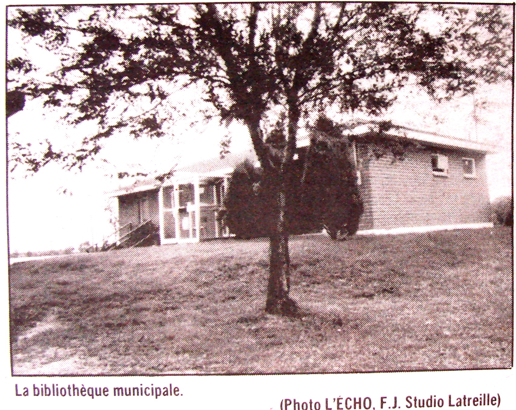1966_bibliotheque_municipale.jpg (934 KB)